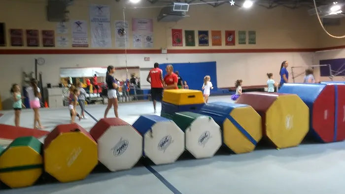The Gymnastics & Cheerleading Academy Picture 1