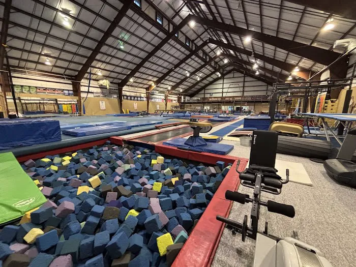 MAGMA Gymnastics Galloway Picture 2