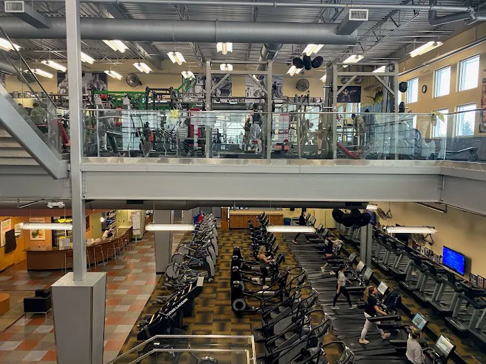 Atilis Gym Galloway Picture 8