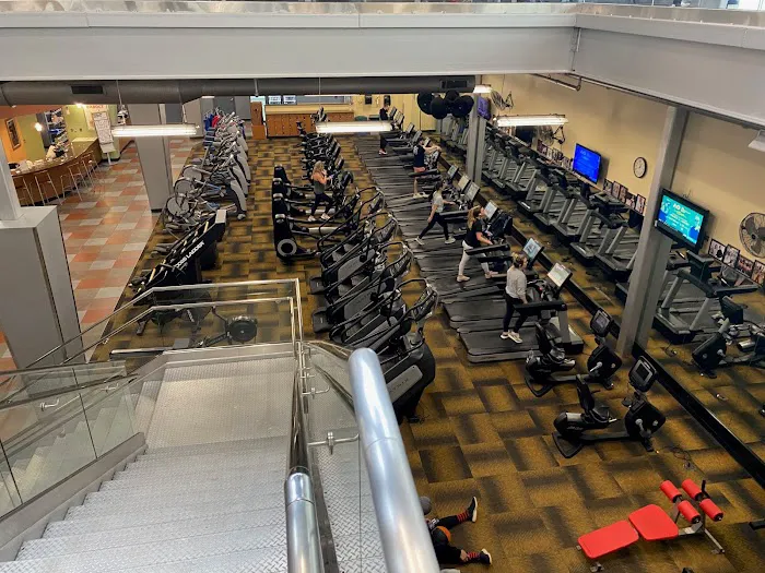 Atilis Gym Galloway Picture 6