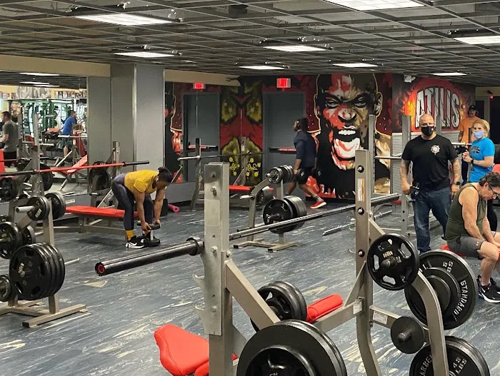 Atilis Gym Galloway Picture 9