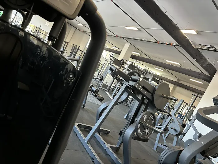 Iron Works Fitness River Wards Picture 4