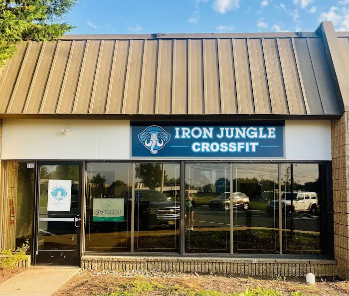 Iron Jungle CrossFit Picture 8