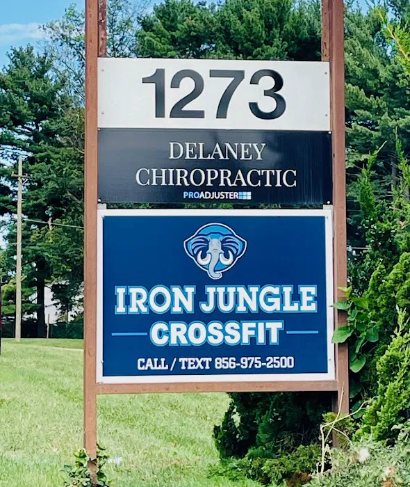 Iron Jungle CrossFit Picture 7