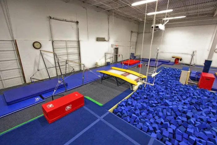 Champions United Gymnastics Academy Picture 3