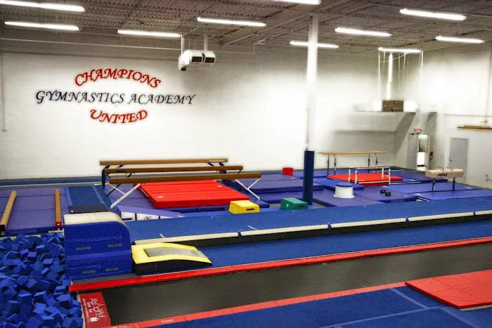 Champions United Gymnastics Academy Picture 6