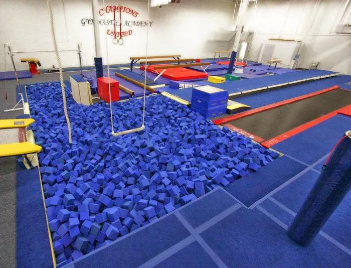 Champions United Gymnastics Academy Picture 4