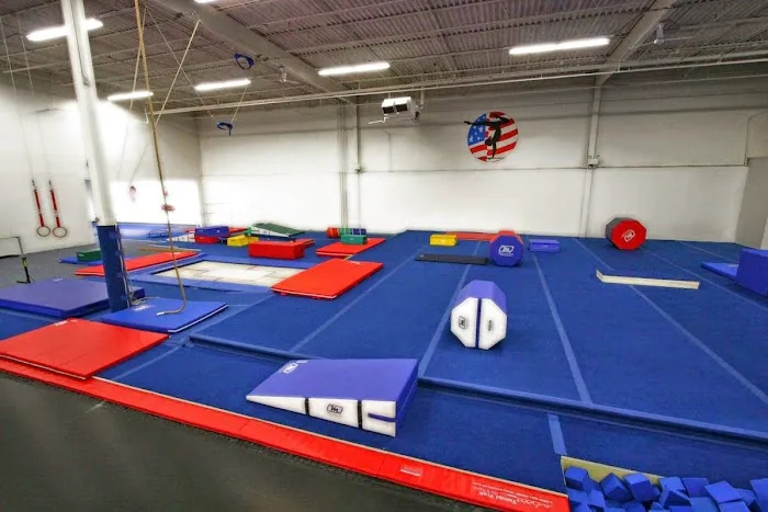 Champions United Gymnastics Academy Picture 5