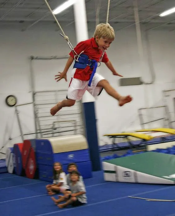 Champions United Gymnastics Academy Picture 2