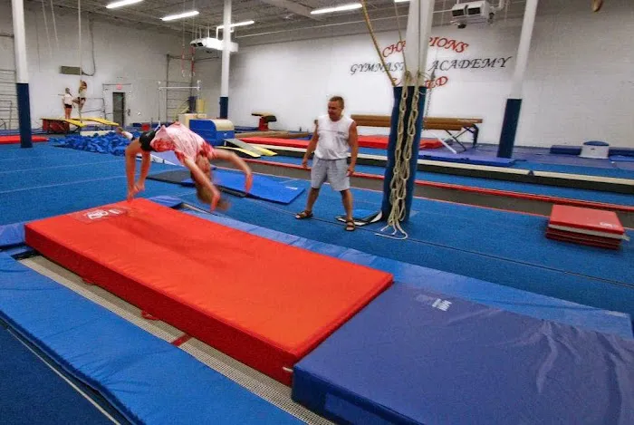 Champions United Gymnastics Academy Picture 7