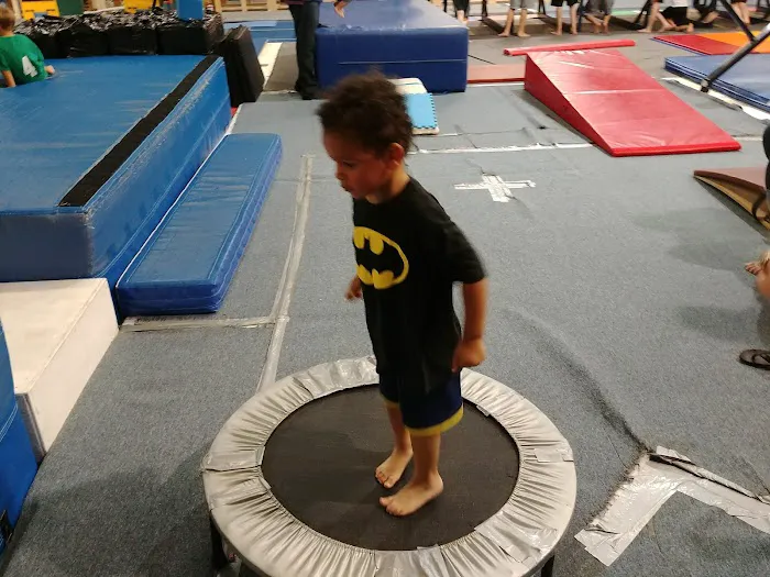 Paragon Gym for Kids Picture 5