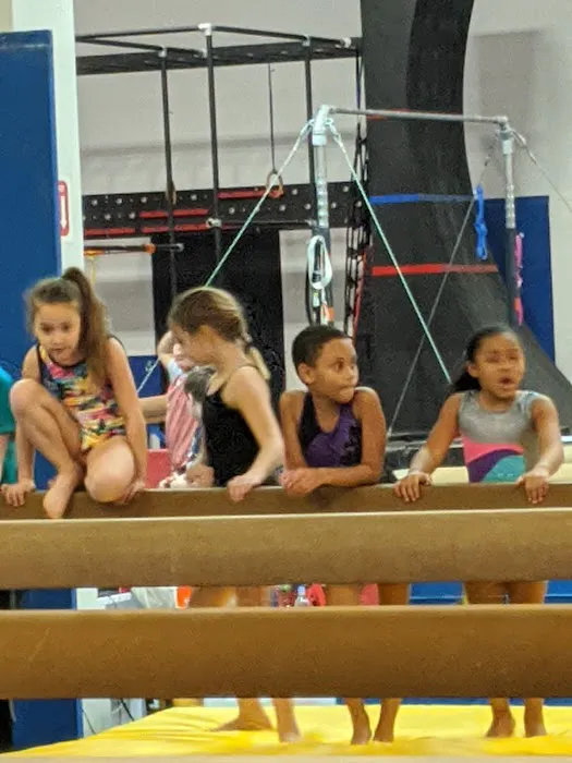 Paragon Gym for Kids Picture 8