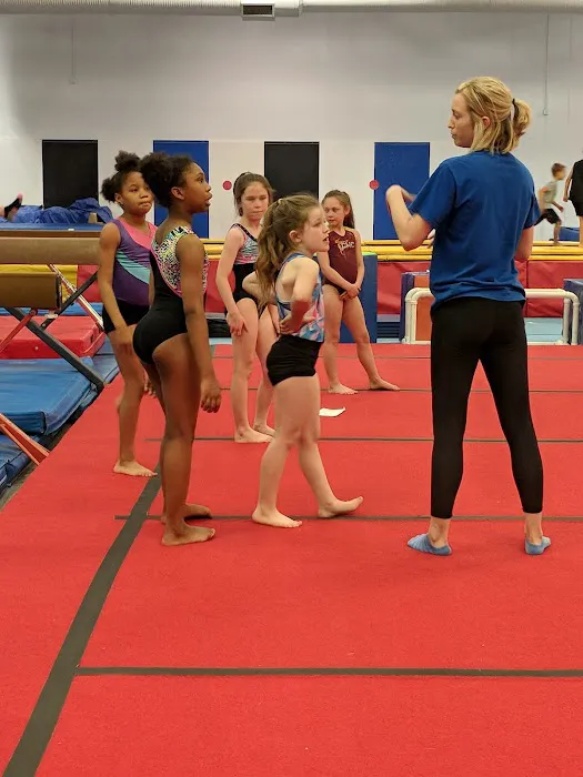 Paragon Gym for Kids Picture 3