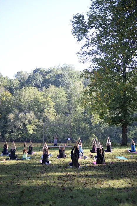 Fredericksburg Yoga & Wellness Picture 9