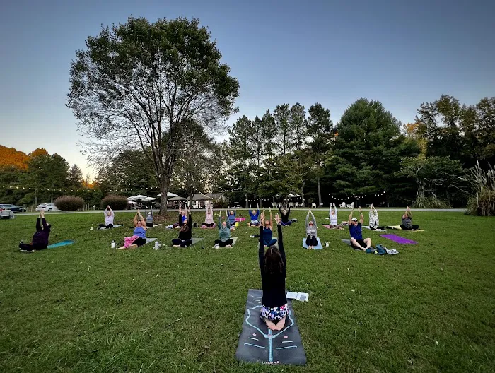 Fredericksburg Yoga & Wellness Picture 8