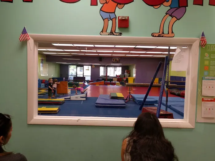 The Little Gym of Springhouse Picture 4