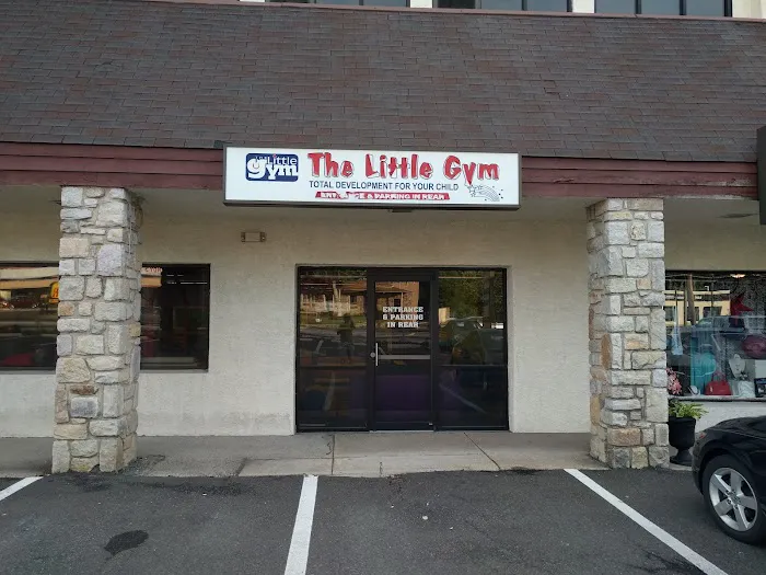 The Little Gym of Springhouse Picture 6