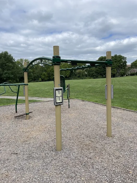 Calisthenics Park / Street Workout Picture 3
