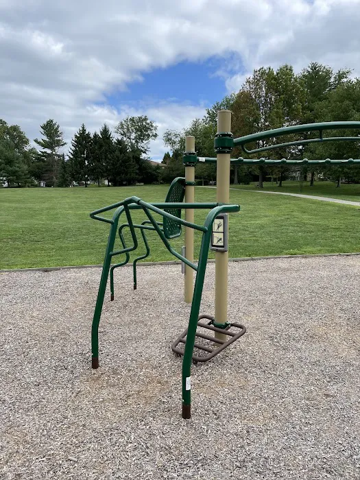 Calisthenics Park / Street Workout Picture 4