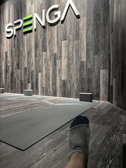 SPENGA Spring House Picture 2