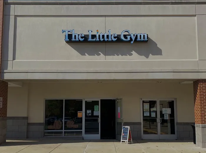 The Little Gym of Hatfield Picture 10