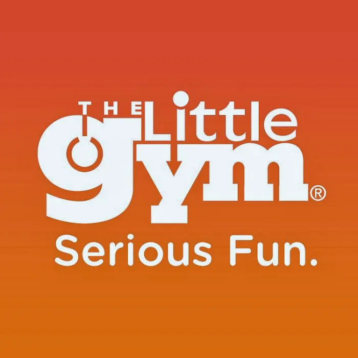 The Little Gym of Hatfield Picture 6