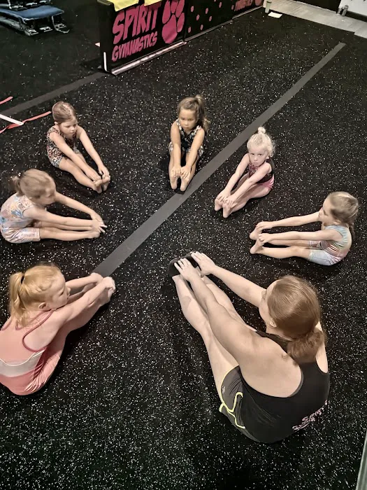 Spirit Gymnastics Training Center Picture 4