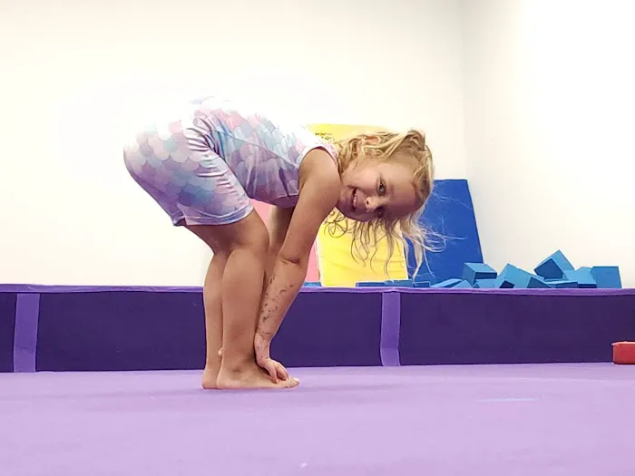 Spirit Gymnastics Training Center Picture 2