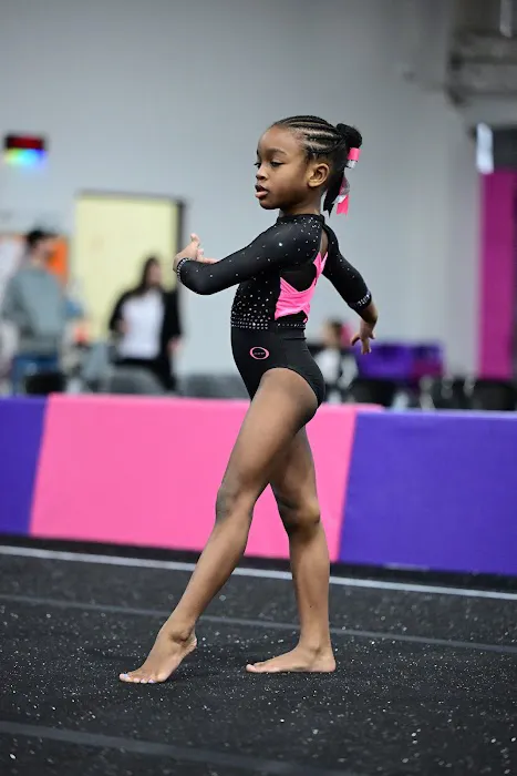 Spirit Gymnastics Training Center Picture 8