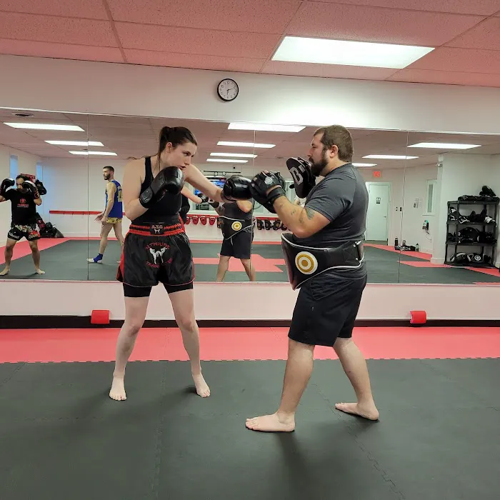 The Clinic Muay Thai Gym Picture 2