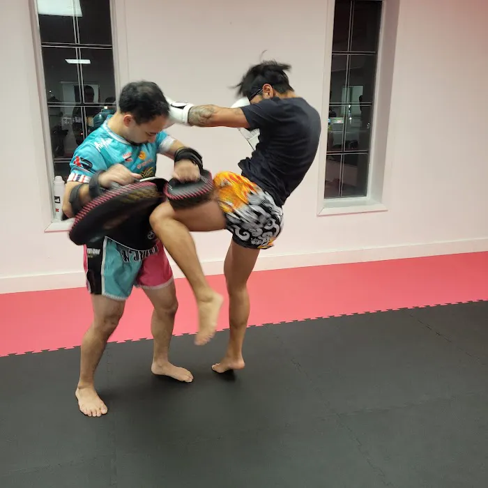 The Clinic Muay Thai Gym Picture 3