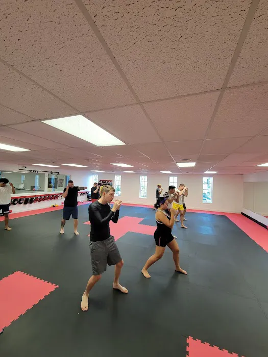 The Clinic Muay Thai Gym Picture 5