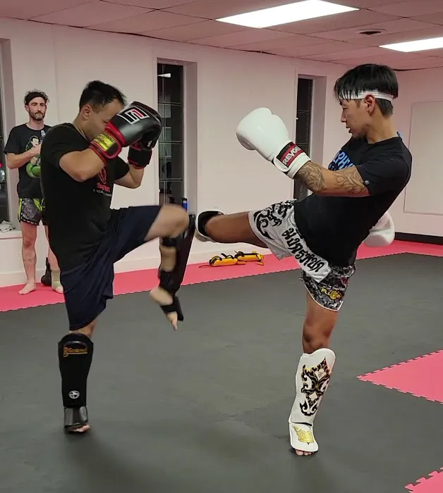 The Clinic Muay Thai Gym Picture 6