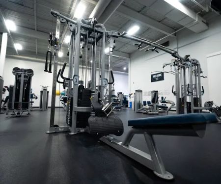 Wyomissing Fitness and Training