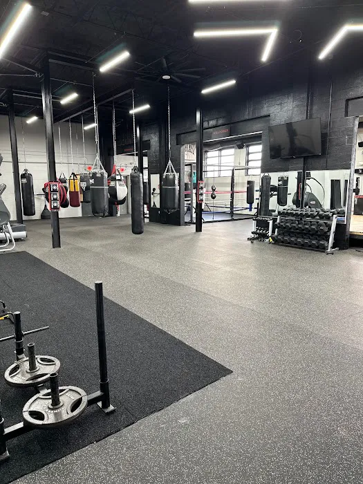 Star City Boxing Picture 5