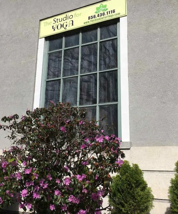 The Studio for Yoga Picture 7