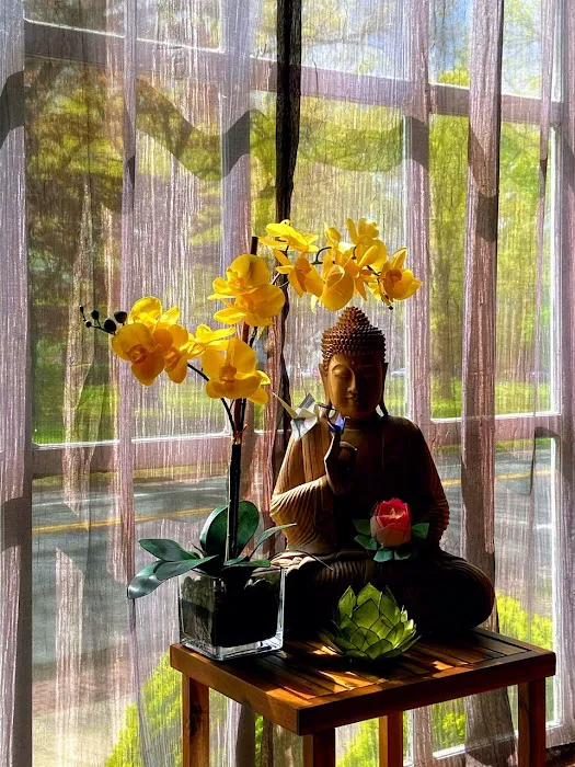 The Studio for Yoga Picture 9