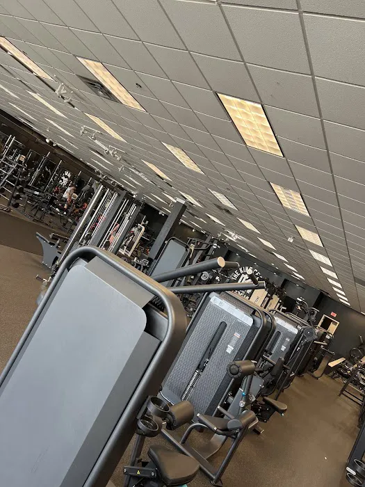 The King Of Gains Gym & Nutrition Center Picture 2