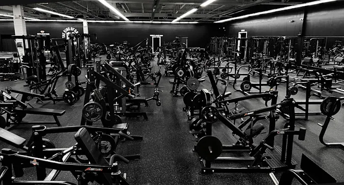 The King Of Gains Gym & Nutrition Center Picture 4