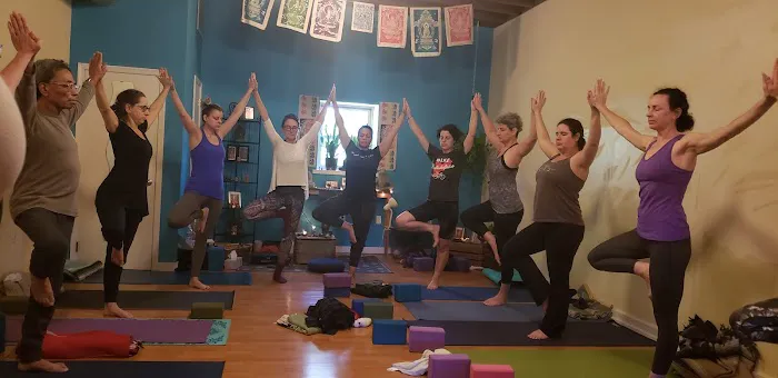 Blue Banyan Yoga Picture 4
