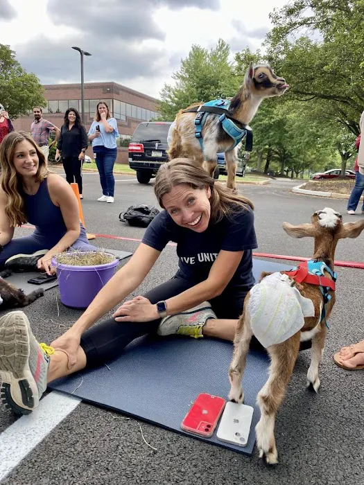 Horse and Goat Yoga Picture 9