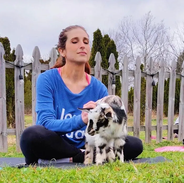 Horse and Goat Yoga Picture 8