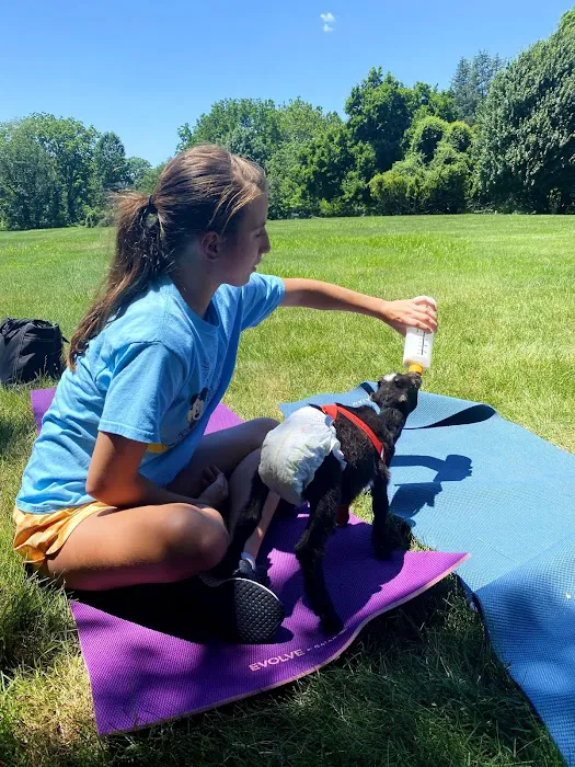 Horse and Goat Yoga Picture 2