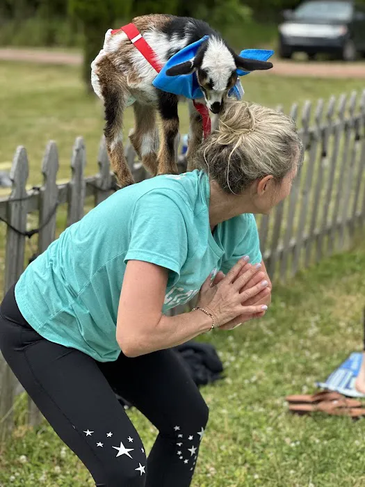 Horse and Goat Yoga Picture 6