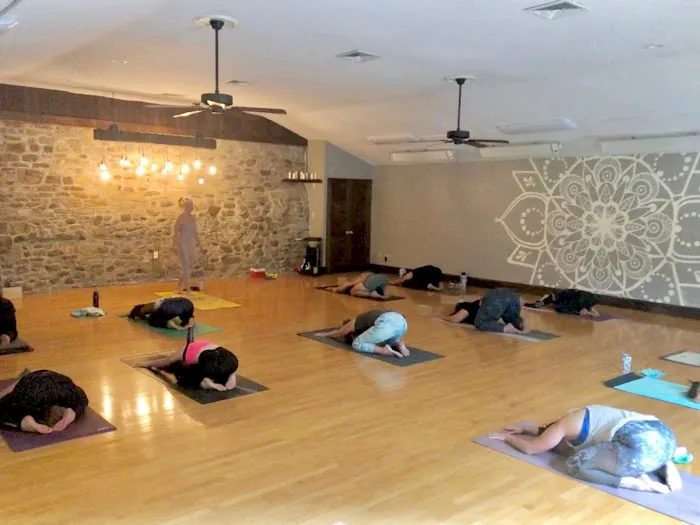 Let's Get Zen Yoga Picture 4