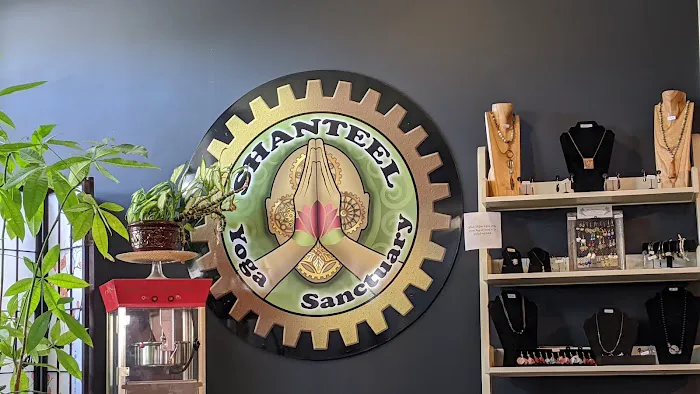 Shanteel Yoga Sanctuary Picture 10