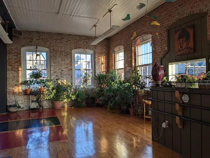 Shanteel Yoga Sanctuary Picture 2