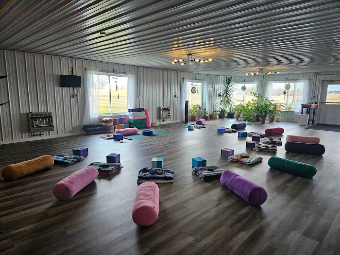 Life Thrive Yoga Picture 7