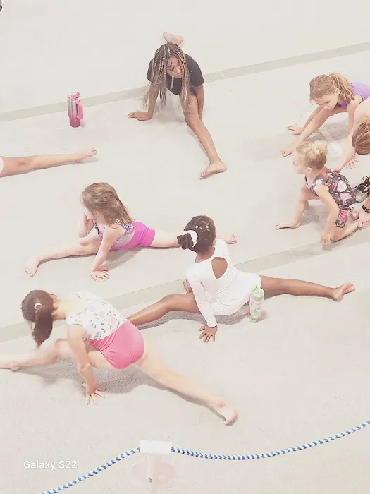 Prestige Gymnastics Picture 5