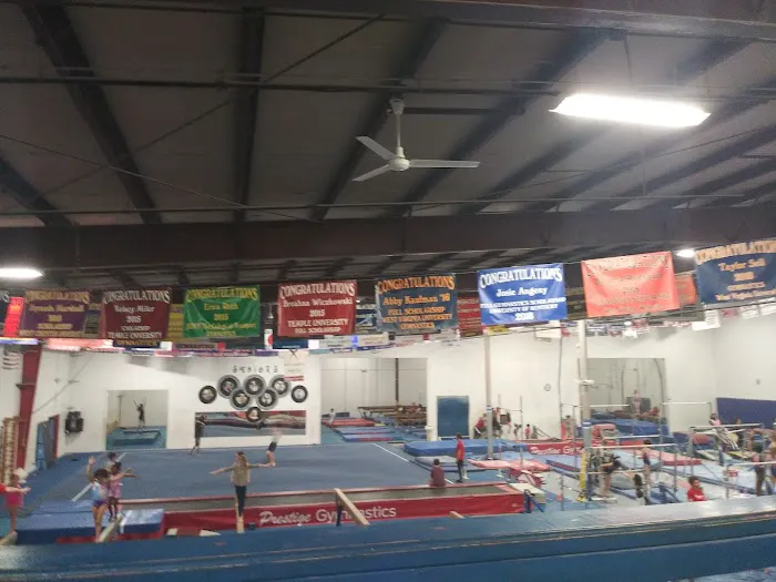 Prestige Gymnastics Picture 2